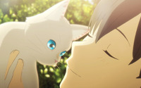 「泣きたい私は猫をかぶる」喜多村英梨、三木眞一郎ら演じる猫たちや、秘密の“猫島”をおさめた特別映像が公開 画像