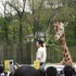 今年も開催決定！　東武動物公園×けものフレンズ「2018年もとうぶフレンズに会いに行くのだ！」