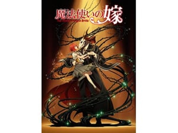 魔法使いの嫁 TVアニメ『魔法使いの嫁』第 3 弾ビジュアル＆第3弾PVが公開