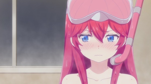 473174.jpg