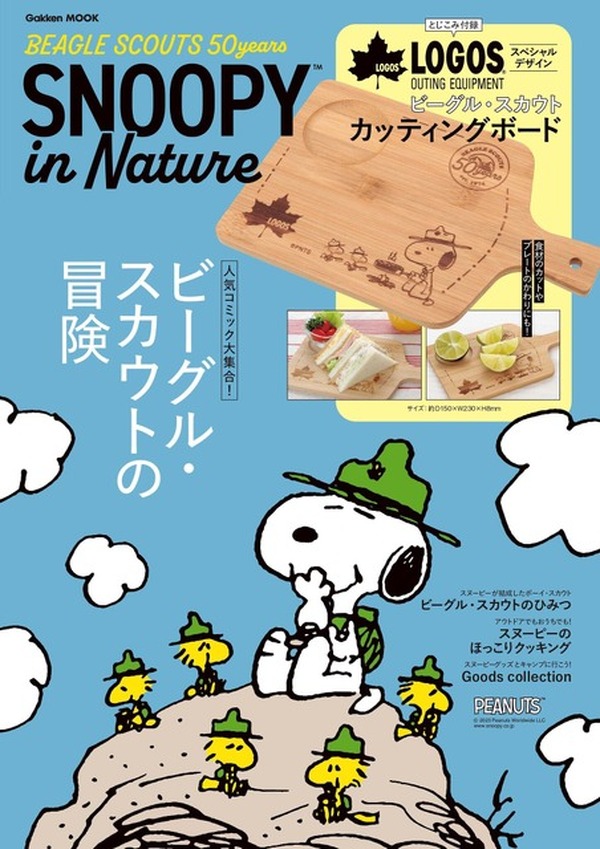 VCD ピーナッツ チャーリーブラウン スヌーピー ウッドストック 新品未開封 PEANUTS チャーリーブラウン ウッドストック ぬいぐるみエコバッグ