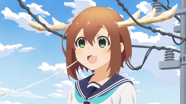 夏アニメ「しかのこのこのここしたんたん」虎視虎子（元ヤン）が