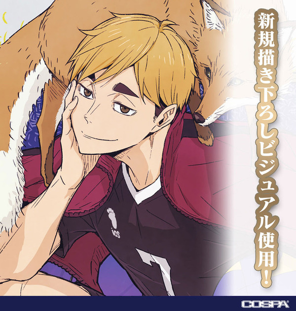 ハイキュー　トランプ　 ジャンプフェスタ2014 Amazon.co.jp: ハイキュー トランプ 原作 2014 ジャンプフェスタ