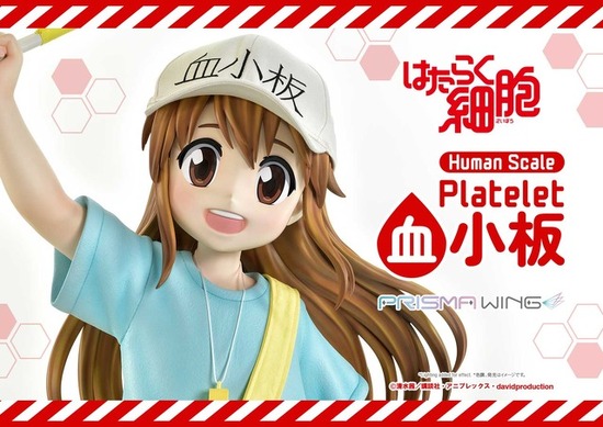 値引可：まとめ売 もやしもん、岳、バイオレンス、はたらく細胞 銀の匙 あずまんが 1046768.jpg