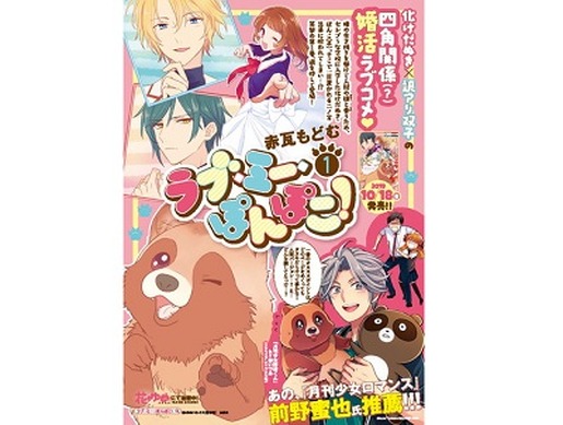 非売品　たぬきフードタオル 　月刊少女野崎くん 非売品 たぬきフードタオル 月刊少女野崎くん 非売品 たぬきフード