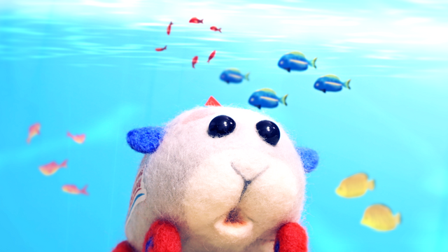 『PUI PUI モルカー DRIVING SCHOOL』PVカット（C）見里朝希／PUI PUI モルカーDS 製作委員会