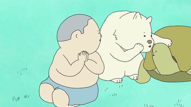 『いきものさん』第1話「カメの回」先行場面カット（C）和田淳・ニューディアー／東映アニメーション