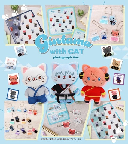 『銀魂』「withCAT photograph Ver.」（C）空知英秋／集英社・テレビ東京・電通・BNP・アニプレックス