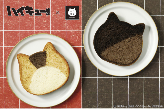 アニメ『ハイキュー‼』が「ねこねこ食パン」とコラボ（C）古舘春一／集英社・「ハイキュー!!」製作委員会
