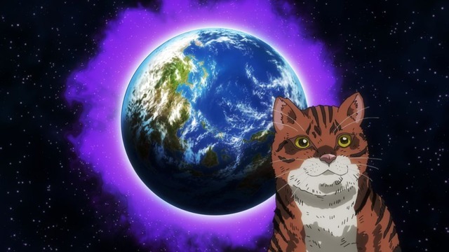 夏アニメ『ニャイト・オブ・ザ・リビングキャット』第1話（Chapter1）「すべてが猫になる」先行場面カット