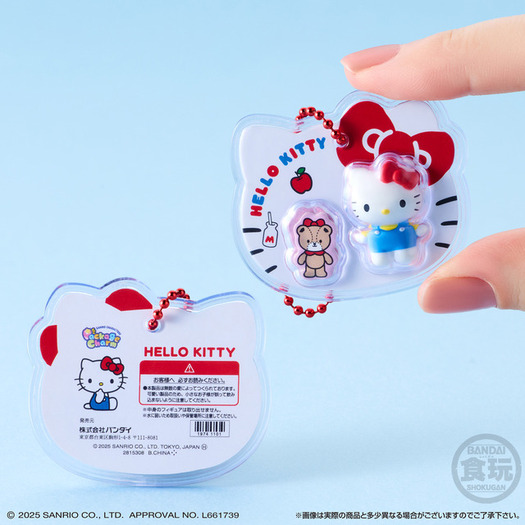 シール 引退品＋サンリオパッケージチャーム サンリオキャラのパケチャームが激可愛い♪コンプしたくなる