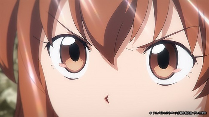 特別に憧れるミモリ 普通に憧れるアリス ぶつかり合う二人の瞳は 熱く 輝く アニメ シャドウバース 第17話あらすじ紹介 12枚目の写真 画像 超 アニメディア