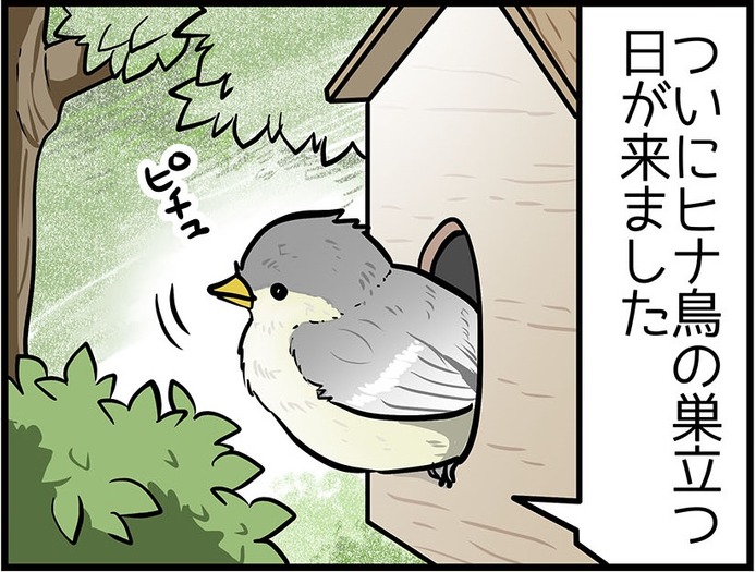 ４コママンガ 亀チャリ出張版 157 ヒナ鳥の巣立ち 超 アニメディア