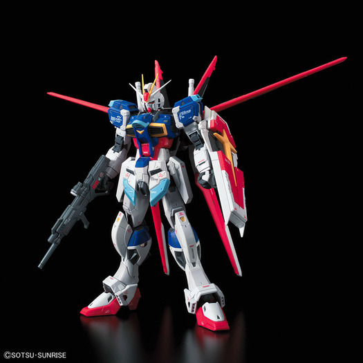 あんたは俺が討つんだ！今日！ここで！”「ガンダムSEED DESTINY