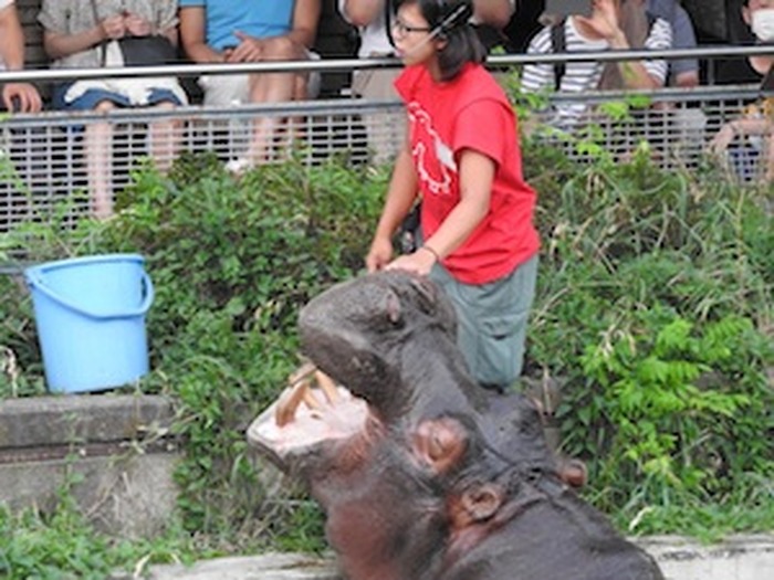 今年も開催決定 東武動物公園 けものフレンズ 18年もとうぶフレンズに会いに行くのだ 5枚目の写真 画像 超 アニメディア