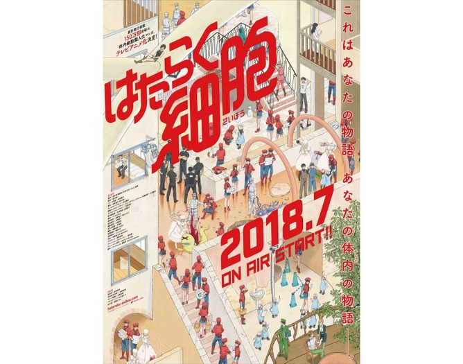 18年7月放送テレビアニメ はたらく細胞 放送情報 追加キャスト 主題歌情報を解禁 超 アニメディア