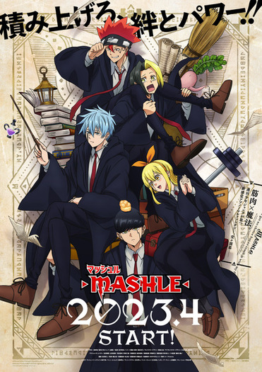 Amazon.co.jp: マッシュル MASHLE コミック アニメ レンタル落ち