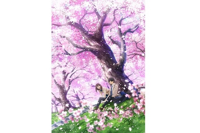 c-君の膵臓をたべたい-　キャンバスイラスト 君の膵臓をたべたいデスクトップ用ライブ壁紙、無料で