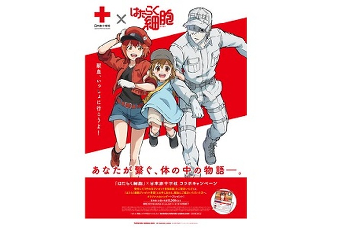 はたらく細胞たちと一緒に学ぼう 日本赤十字社 Tvアニメ はたらく細胞 コラボキャンペーン実施中 超 アニメディア