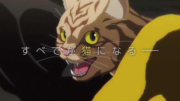 山崎リミテッド2023　猫ニャー 山崎 Story of the Distillery 2025 EDITION ｜シングルモルト