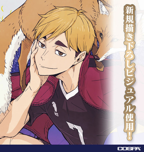 ハイキュー　ふんばるず　宮兄弟 ハイキュー!!』より、高校バレー界最強ツインズ“宮兄弟”がメガハウス