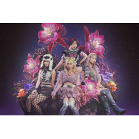 『もめんたりー・リリィ』OP担当！　花冷え。過去最大規模の欧州ツアー成功 17都市でソールドアウト、新作EP発表 画像