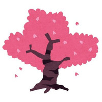 “さくら”キャラといえば？ アンケート〆切は3月20日 画像