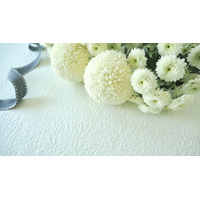 「銀河鉄道999」メーテル役の声優・池田昌子さん 脳出血で死去 87歳 「宇宙兄弟」「エースをねらえ！」などに出演 画像