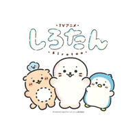 「しろたん」TVアニメ化&26年秋より放送！しろたん役は悠木碧 ティザービジュアル&PV公開 画像