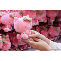 「サンリオ展」最後にして最大…！“FINAL”がついに開幕!! ファン必見の先行販売＆オリジナルグッズや「サンリオキャラクター大賞」とのコラボコーナーも 画像