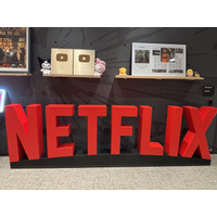 Netflixアニメ戦略はどう変わったのか？Netflix映画『超かぐや姫！』異例ヒットの裏側と、権利を独占しない「共創」の行方 画像
