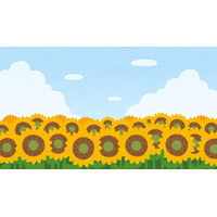 “黄色”がイメージカラーのキャラといえば？ アンケート〆切は6月30日【#ひまわりの日】 画像