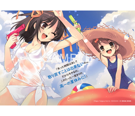 涼宮ハルヒの大成　特典等身大ポスター Neowingオリジナル特典 147996.jpg