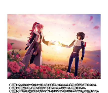 719051.jpg