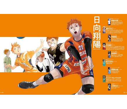 ハイキュー　ボール  週刊少年ジャンプ　懸賞　当選品　非売品　レア バレーボール ハイキュー ボール 週刊少年ジャンプ 懸賞 当選品 非売品 レア