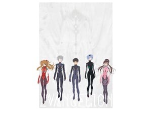 17925.jpg?zoom=spacing