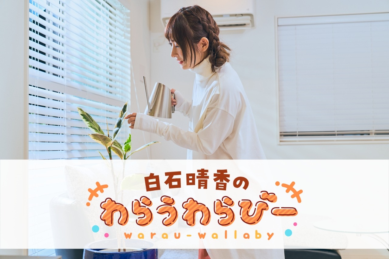白石隆一 海老 白石隆一 海老