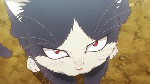 いよいよスタート 人嫌いな小説家が猫を拾い Tvアニメ 同居人はひざ 時々 頭のうえ 第1話あらすじ 先行カットが到着 超 アニメディア