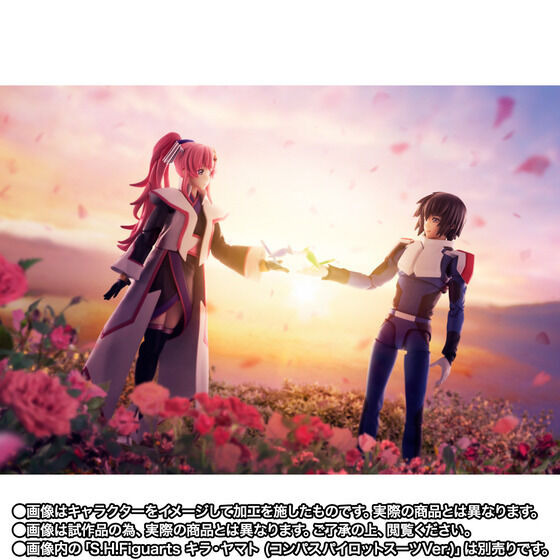 ガンダムSEED FREEDOM」私の中にあなたはいます―― キラ＆ラクスの 