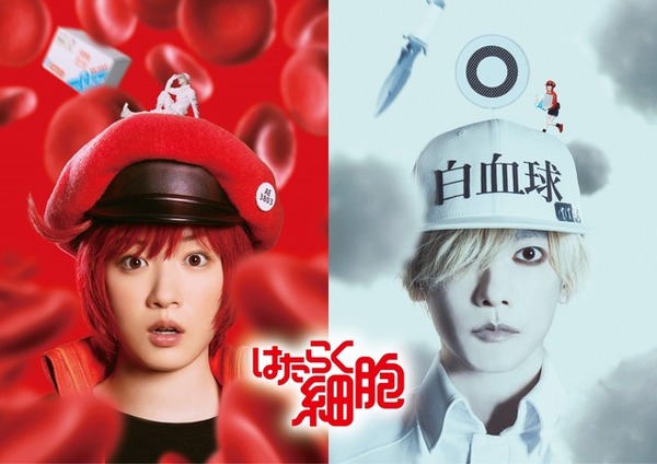 実写映画「はたらく細胞」赤血球役・永野芽郁＆白血球役・佐藤健がW 