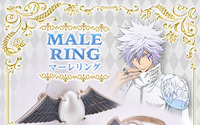 「リボーン」白蘭＆六弔花の「マーレリング」を身に着けられる！ Silver 925製で本格的、ネックレスにも♪ 画像