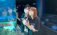 下野紘＆内田真礼が大赤面！ 夜の水族館で胸キュンセリフ披露で「はず！はずずず」【声優と夜あそび ウォーカーズ】 画像