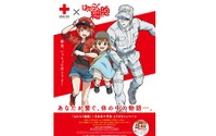 はたらく細胞たちと一緒に学ぼう！日本赤十字社×TVアニメ『はたらく細胞』コラボキャンペーン実施中 画像