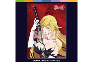 「〈物語〉シリーズ」“ニュータイプ”掲載イラストのグッズが手に入る！オンラインくじが再販に 画像