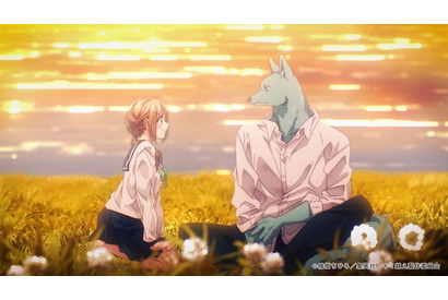 秋アニメ「キミと越えて恋になる」主題歌はCHiCO with HoneyWorks♪ 追加キャストに加隈亜衣 画像