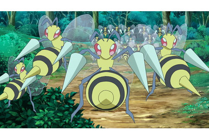ゴウはカントー地方のむしポケモンを全種類ゲット出来るのか！？　TVアニメ『ポケットモンスター』12月22日放送のあらすじ＆場面カットを紹介 画像