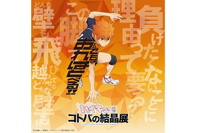 西武ギャラリーにて『ハイキュー!!』の名言が詰まった立体展示展「ハイキュー!!コトバの結晶展」の開催が決定 画像