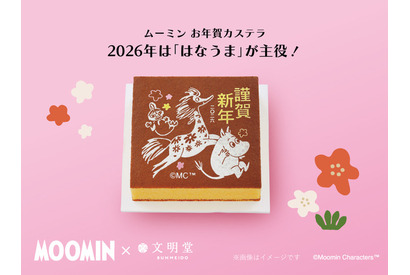 ムーミンたちとハッピークリスマス＆ニューイヤー♪ 3時のおやつにピッタリ「文明堂 カステラ」コラボ登場 画像