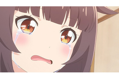 更新試験のために特訓することになったショコラとバニラ！　TVアニメ『ネコぱら』第10話あらすじを紹介 画像