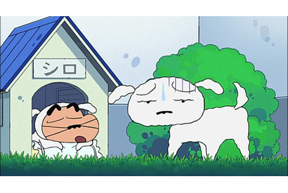 しんのすけは自分が“シロになる”と宣言してーーTVアニメ『クレヨンしんちゃん』3月21日放送回のあらすじ＆先行カットが到着 画像
